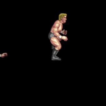 Swing Hurricanrana