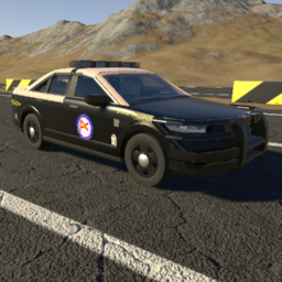 FHP 2019 Ford Taurus