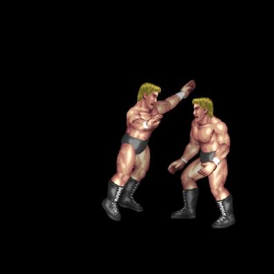 Standing Tornado DDT (front grap)
