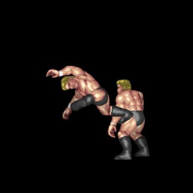 Shining Wheel Kick