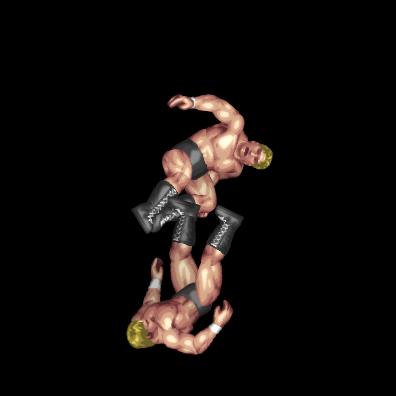 Rope-Hang Front Dropkick