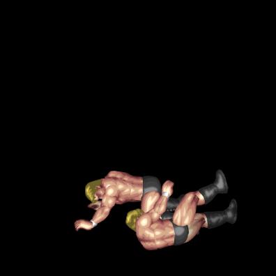 Piledriver C