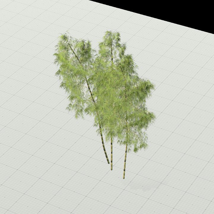 Bamboo