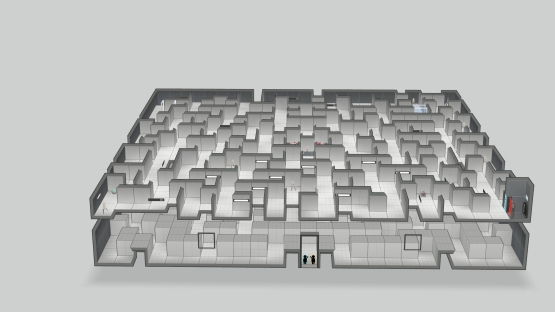 Double-Maze Coop-Edition