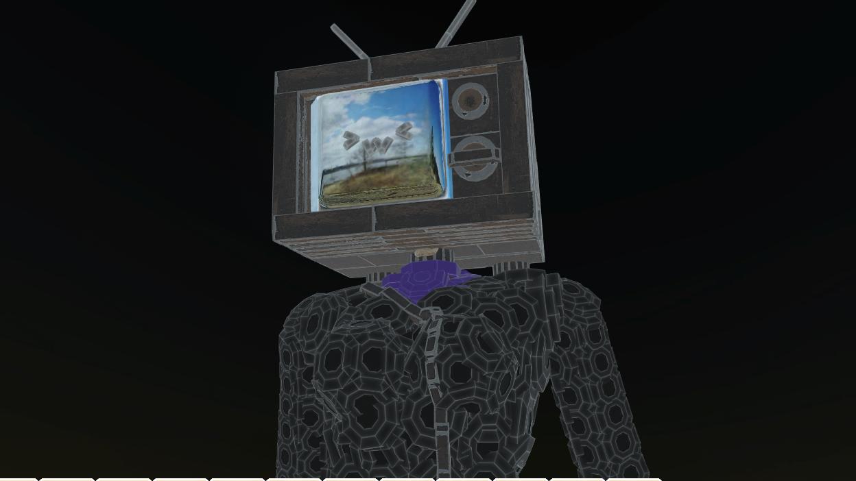 TVWoman
