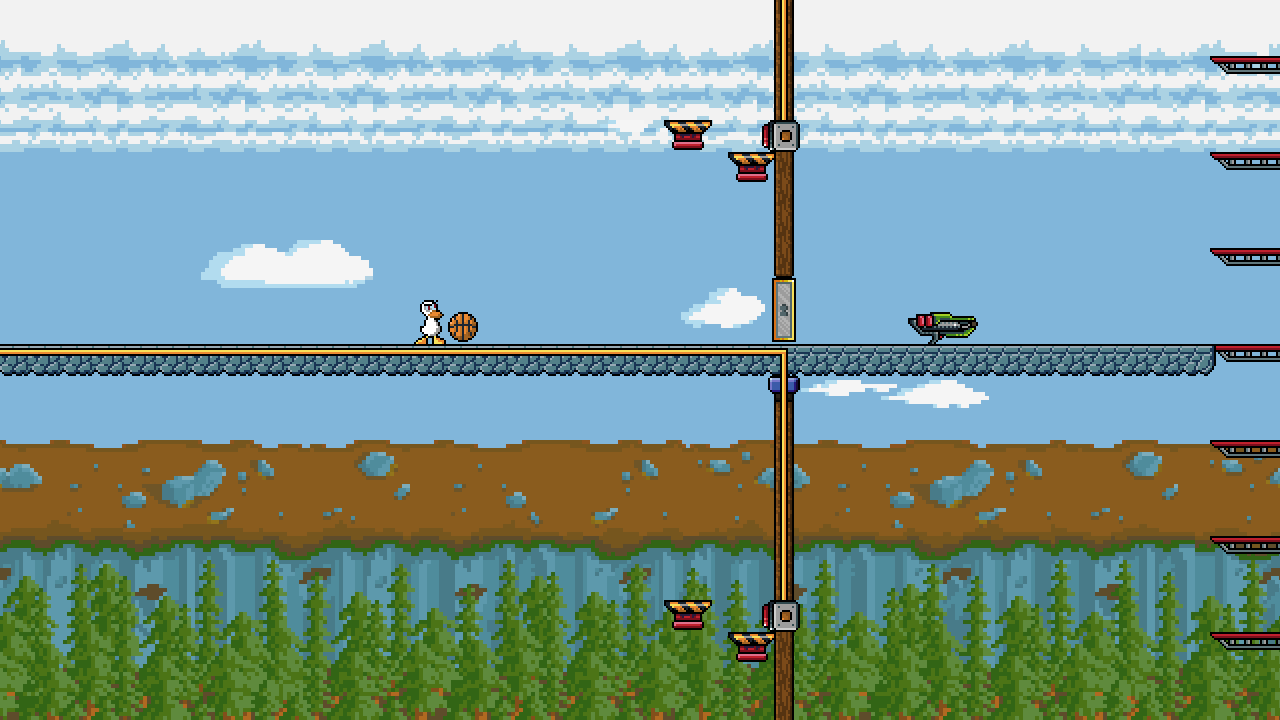 duck basketball