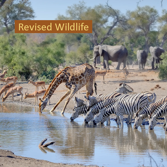 Revised Wildlife