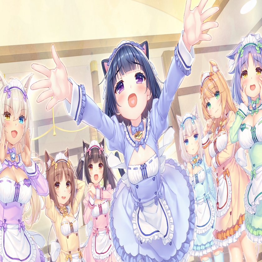 NEKOPARA (X-Ray)