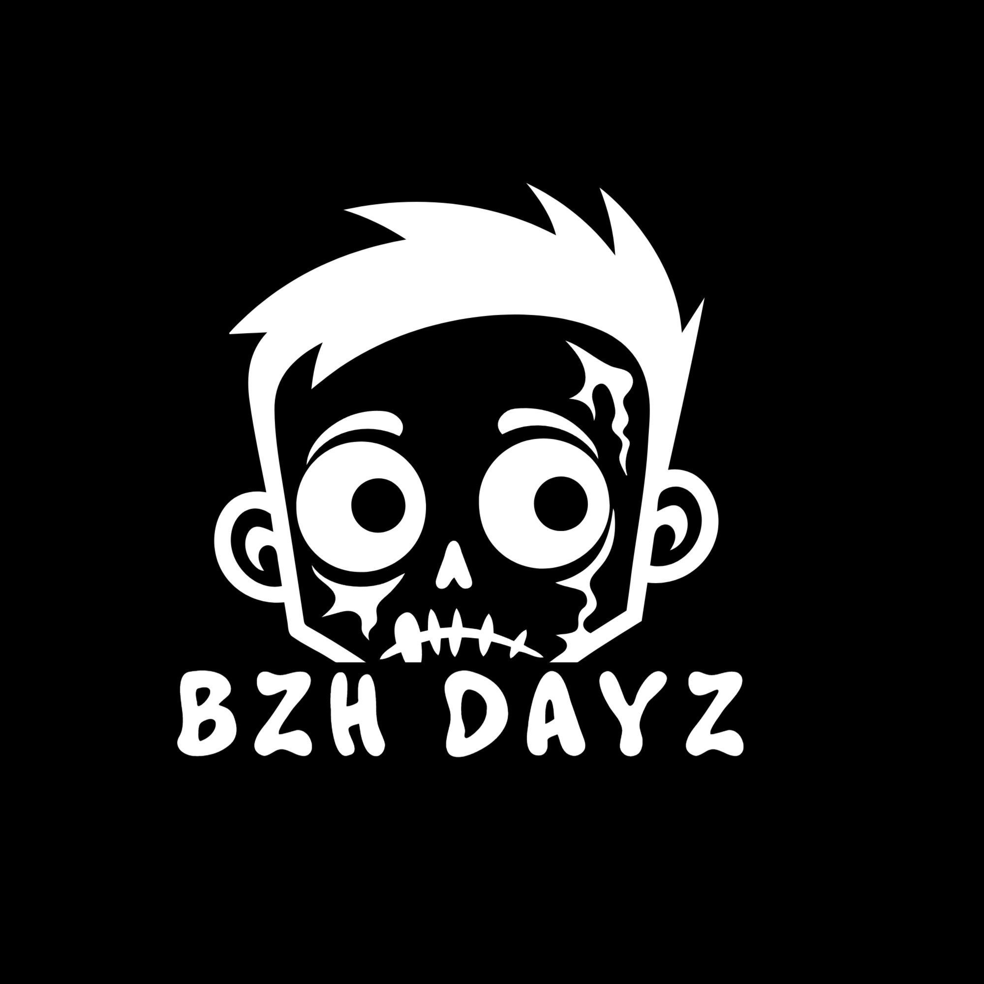 BZH WorldOfIllusion Screen