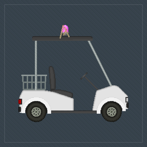 police car