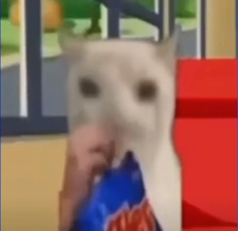 Cat Eating Chips over Intro