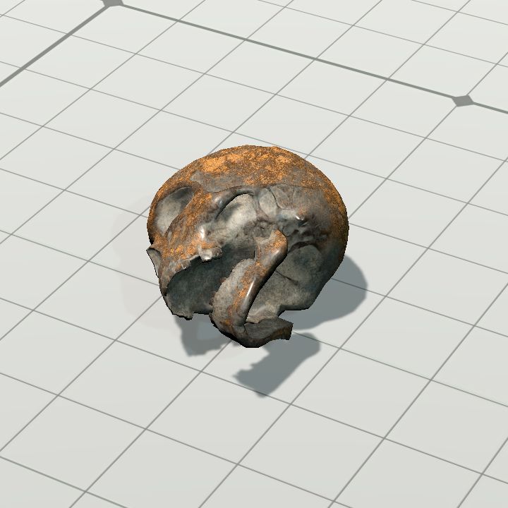 Skull of the Mummy (Horizontal Left)
