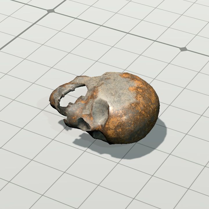 Skull of the Mummy (Horizontal Right)
