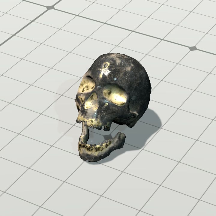 Skull, Ancient (Vertical)