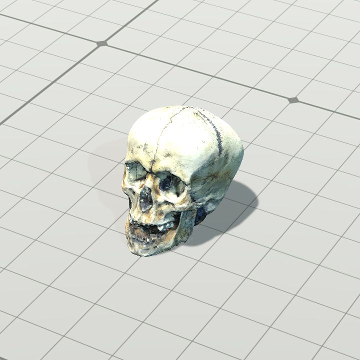 Skull, Old (Vertical)