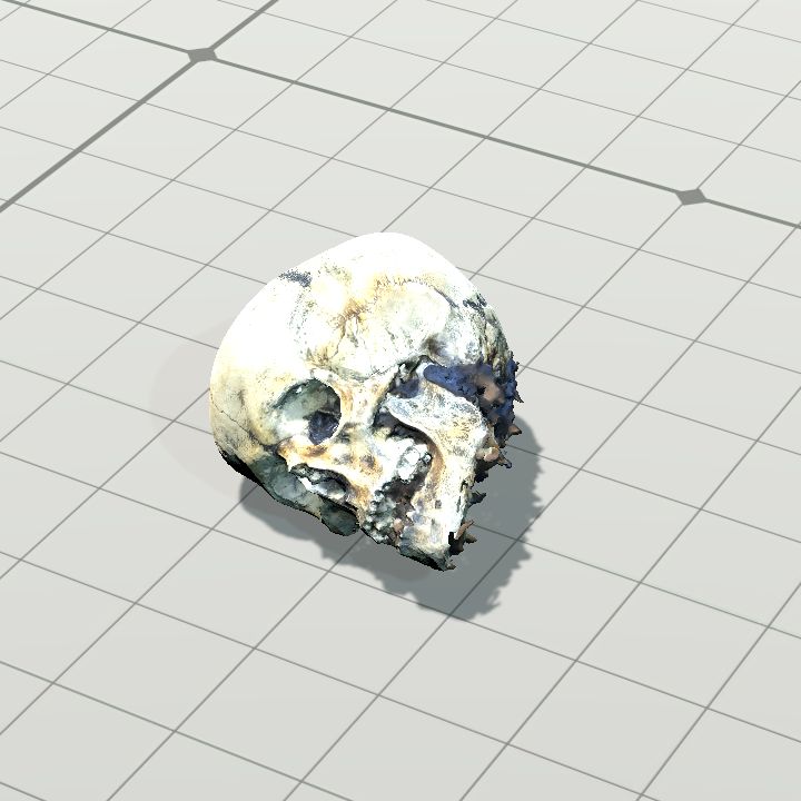 Skull, Old (Horizontal Left)