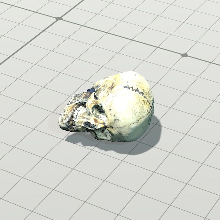 Skull, Old (Horizontal Right)