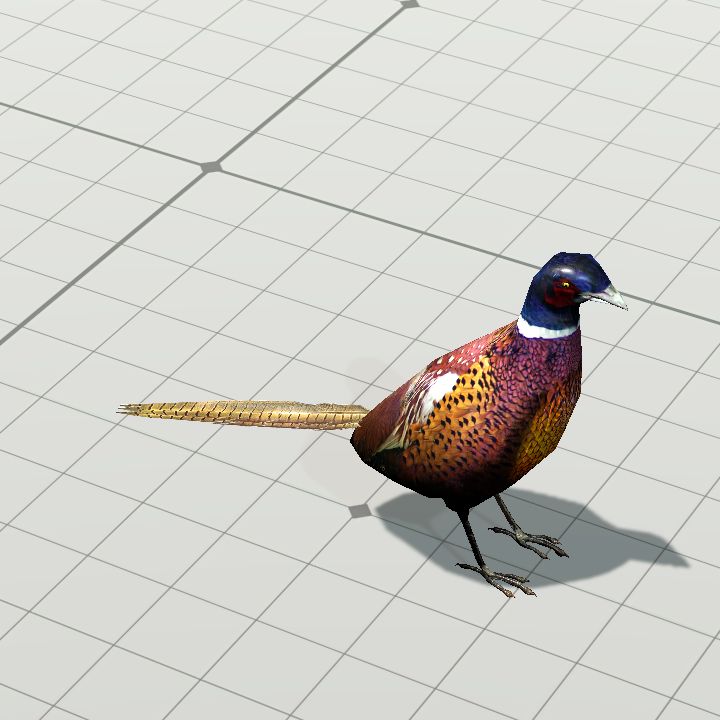 Pheasant {Animated}