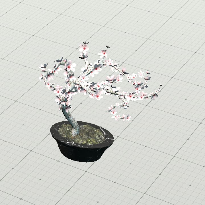 Tree, Cherry Blossom Bonsai
