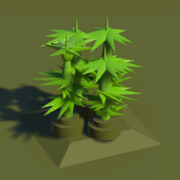 Cannabis | Конопля