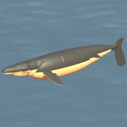 Mosasaurus | Мозазавр