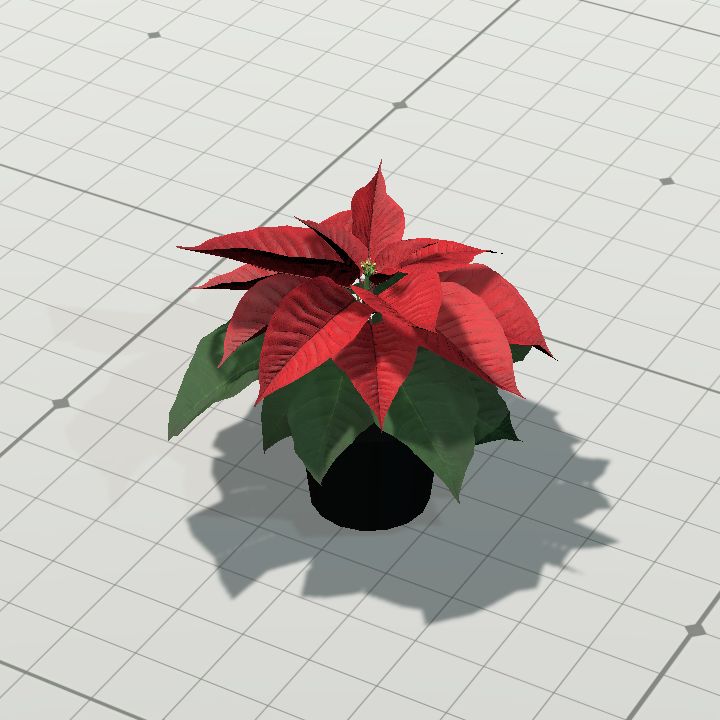 Flower, Poinsettia