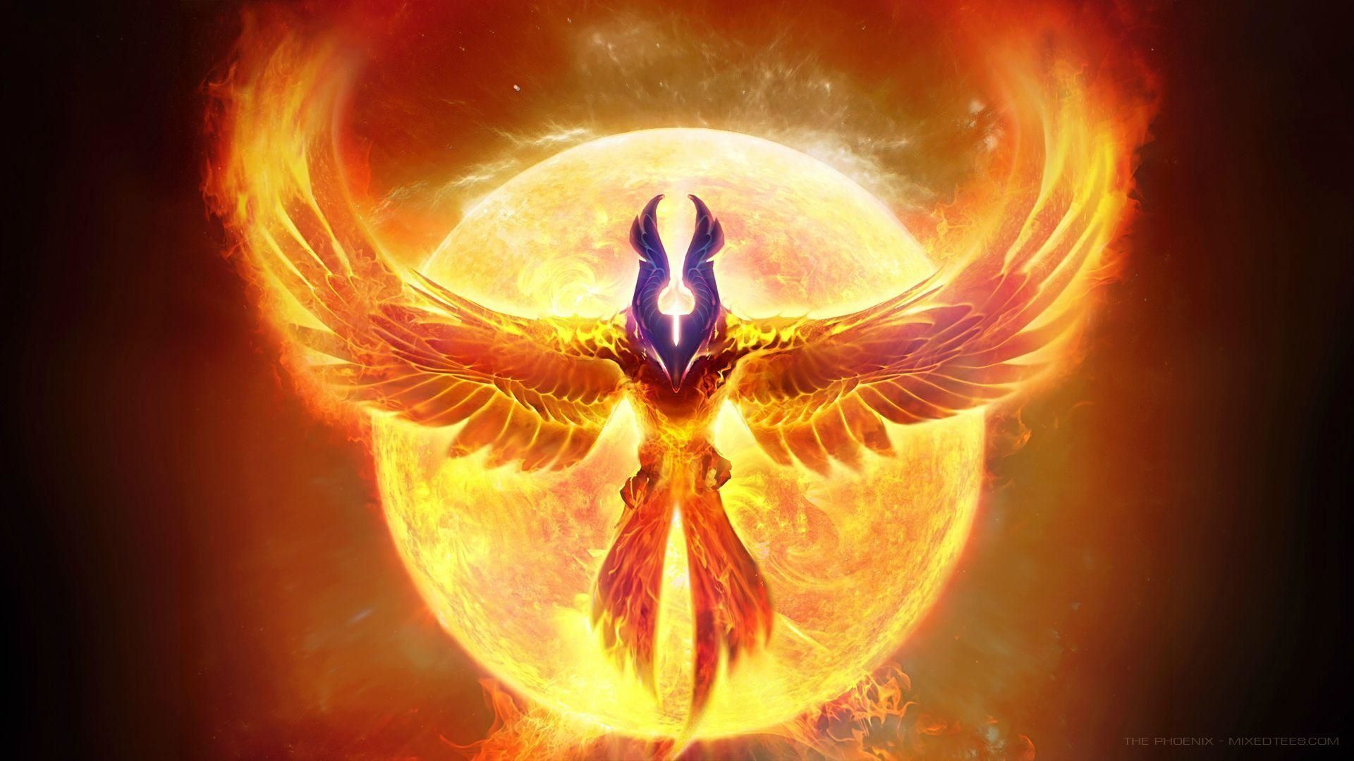 Fenix-Z-painel