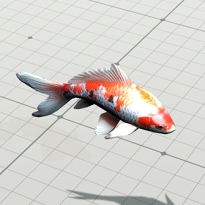 Fish, Koi {Animated}