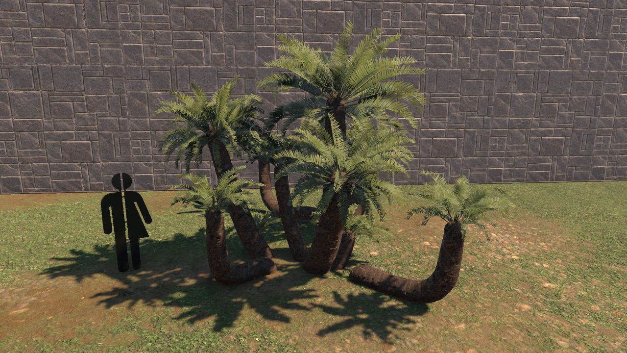 Roided Up Cycas Grove