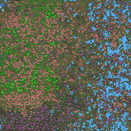 Swampy marshland