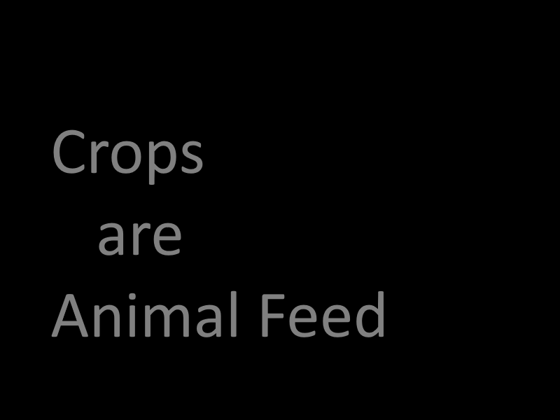 Crops are Animal Feed