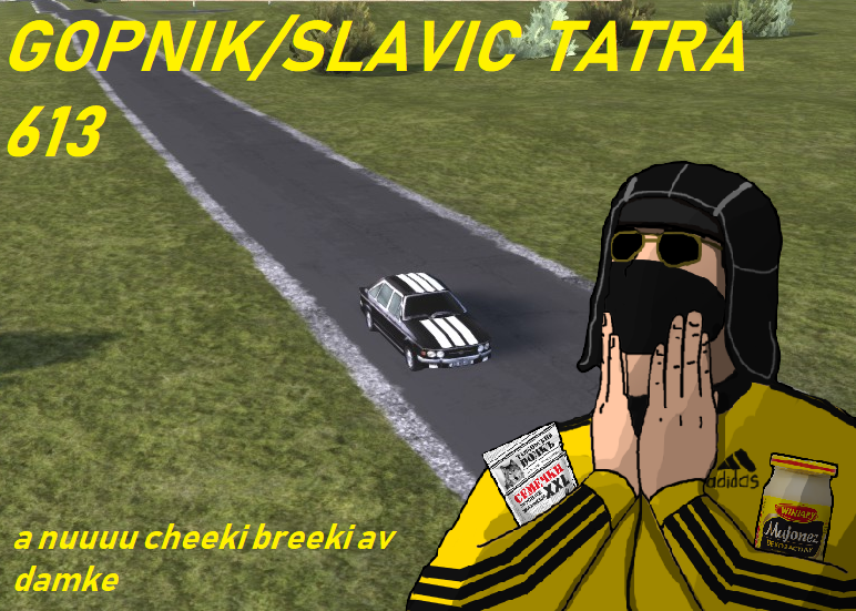 Gopnik Tatra 613