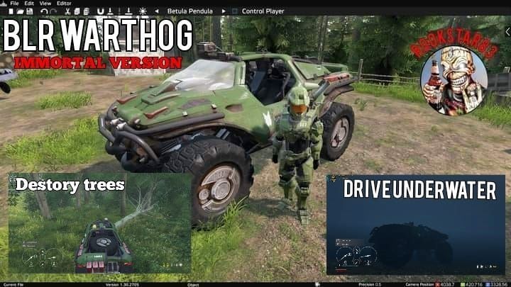 BLR_WARTHOG_IMMORTAL_VERSION