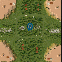 Mystic forest