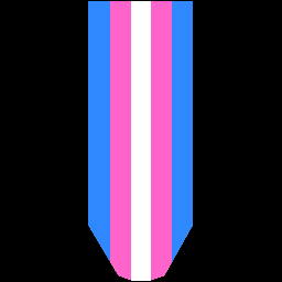 Trans Flag Banner