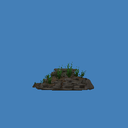 Pond