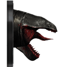 Creature Head Displays