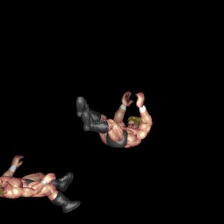 Front Dropkick (Inside Apron Grapple)