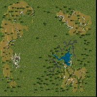 Nils Forest
