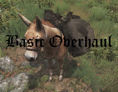 Basic Overhaul