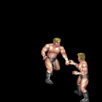 Lariat