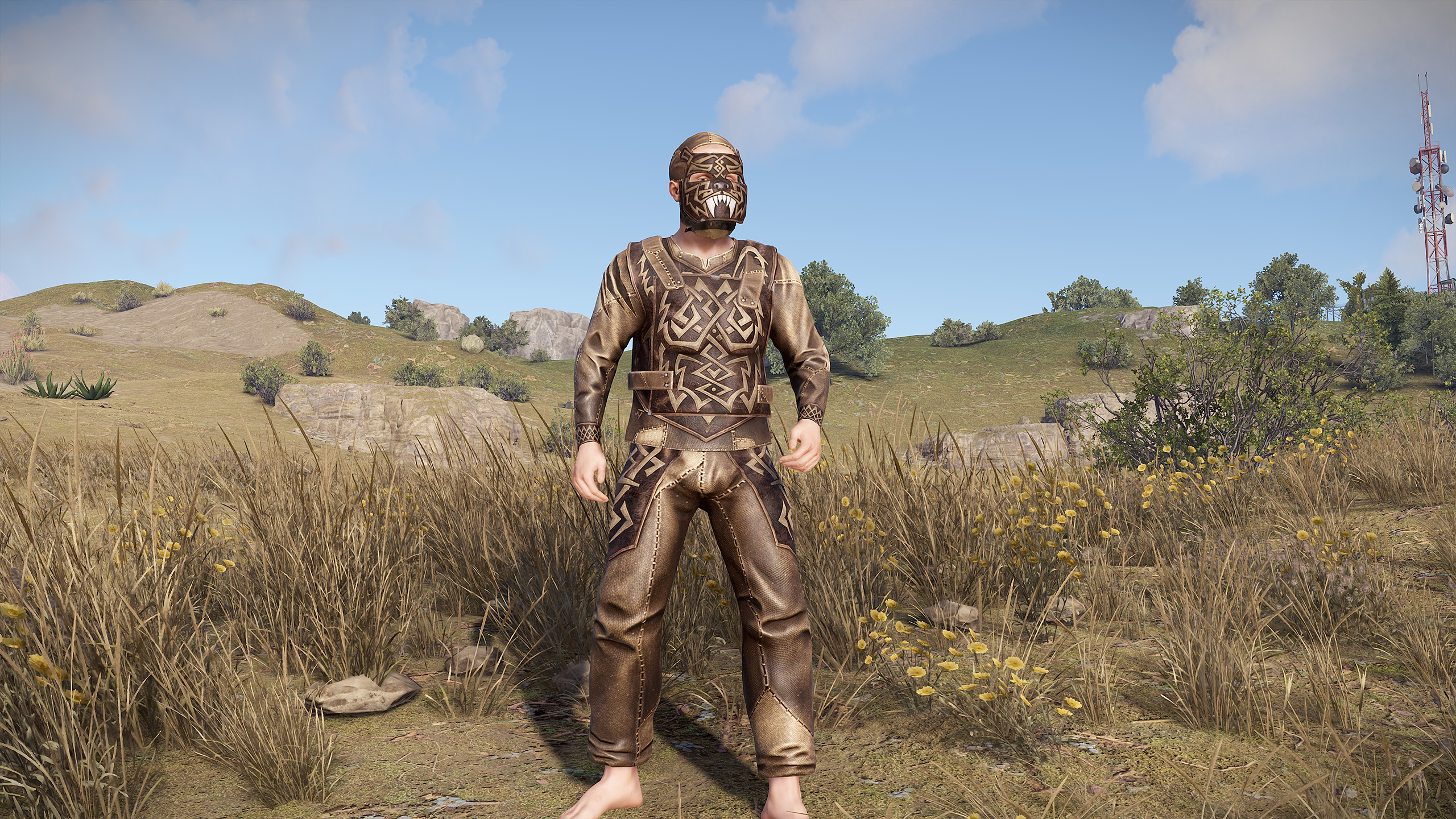 Desert Beast Facemask