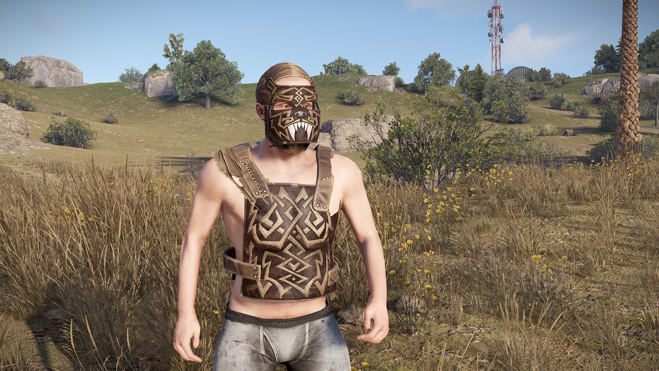 Desert Beast Facemask