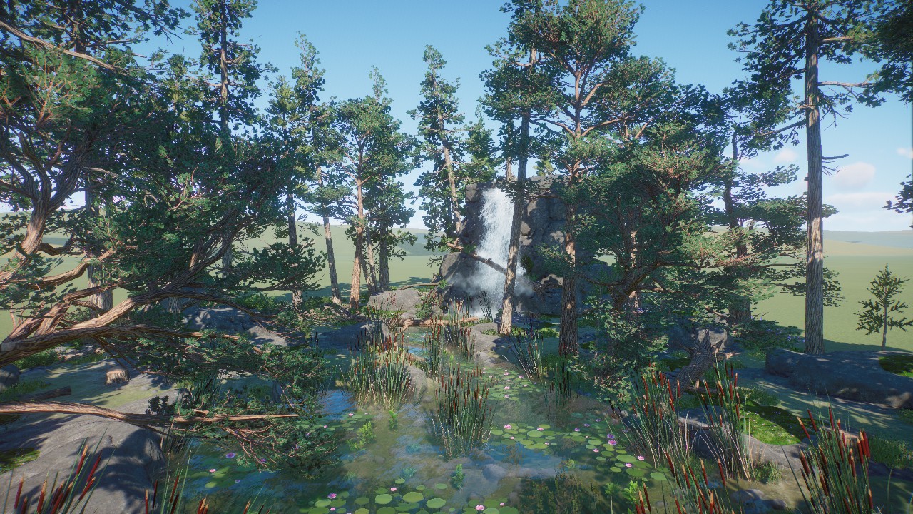 Forest Scenery 16