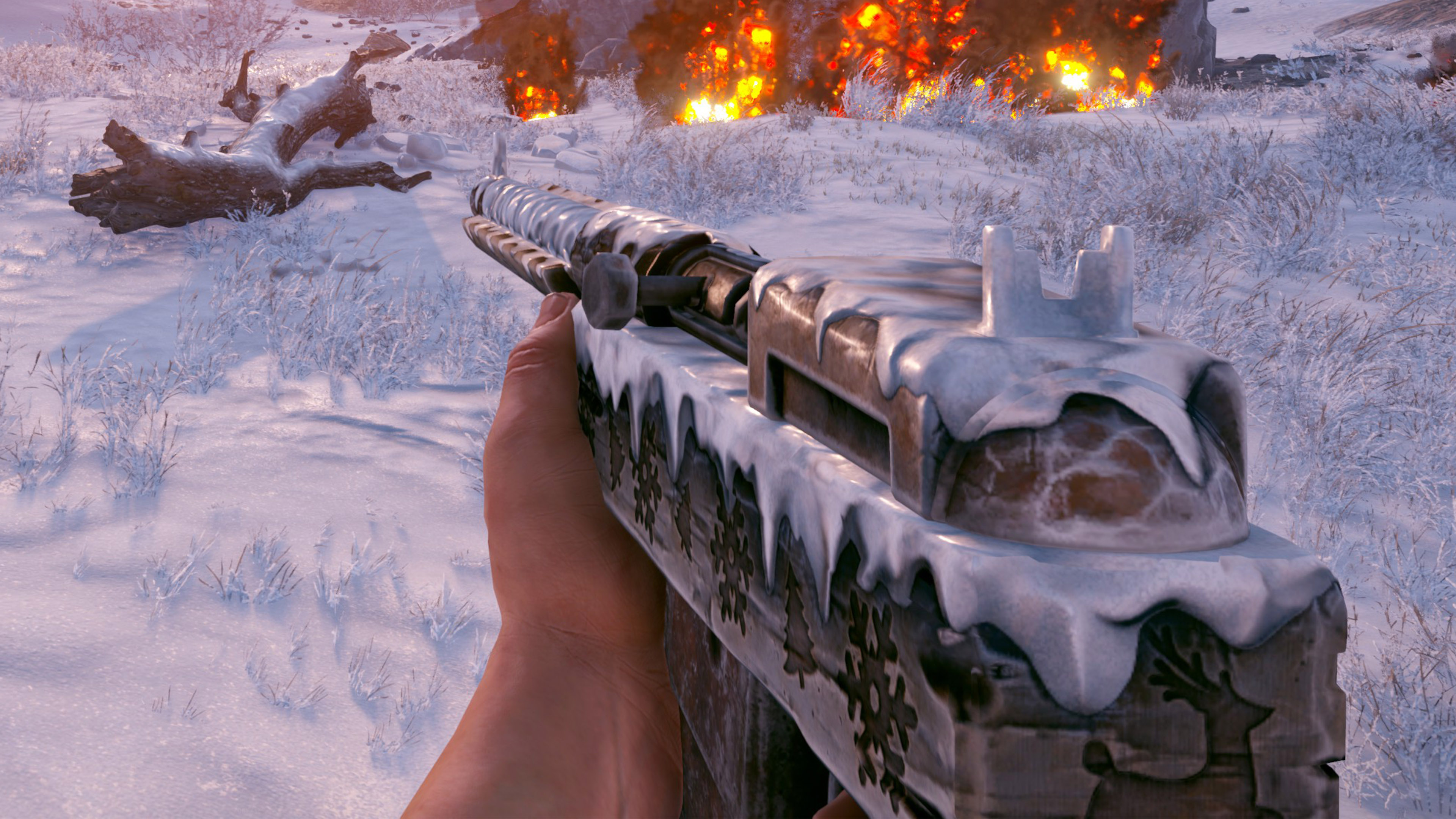 Snowy SAR