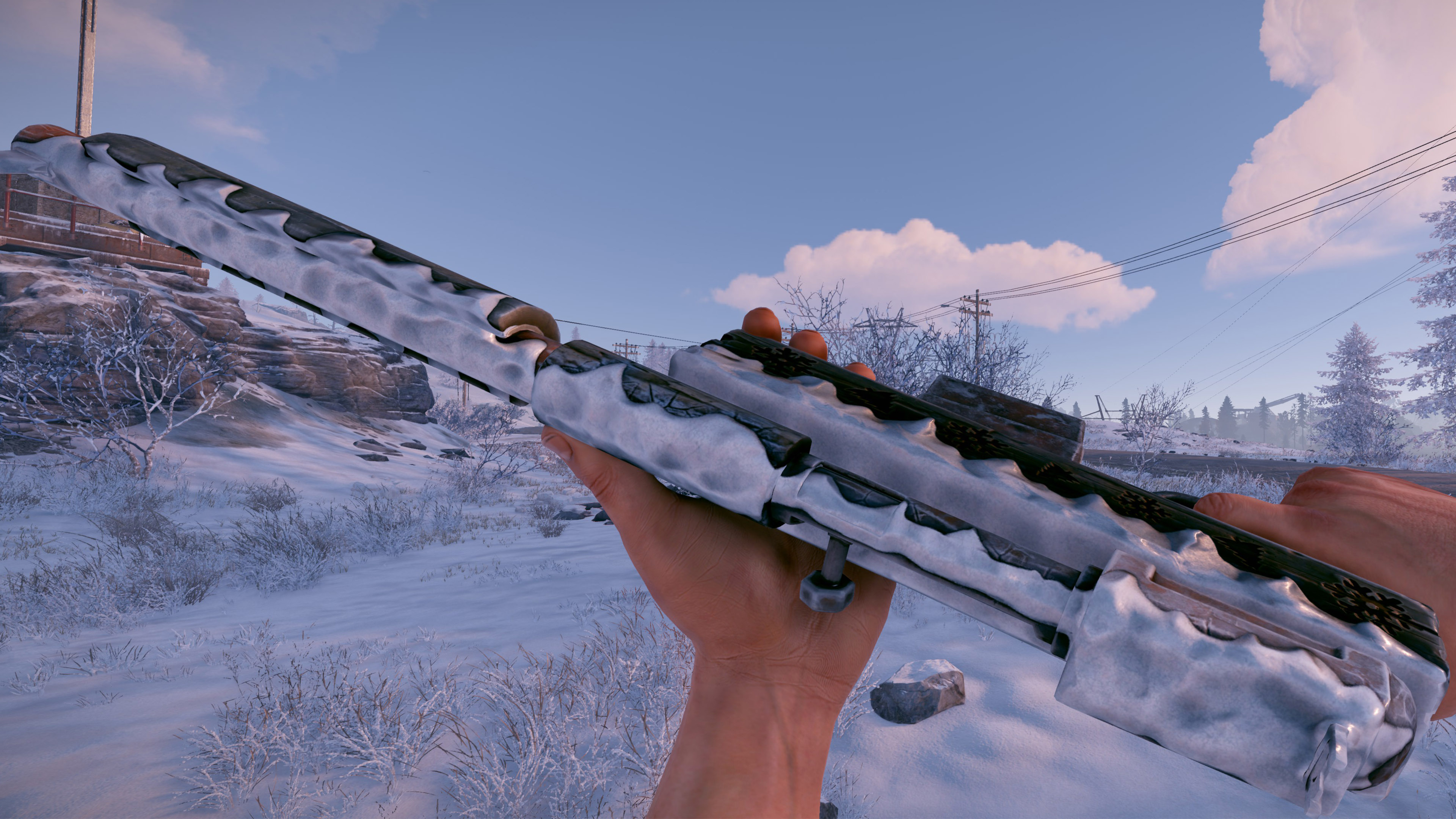 Snowy SAR