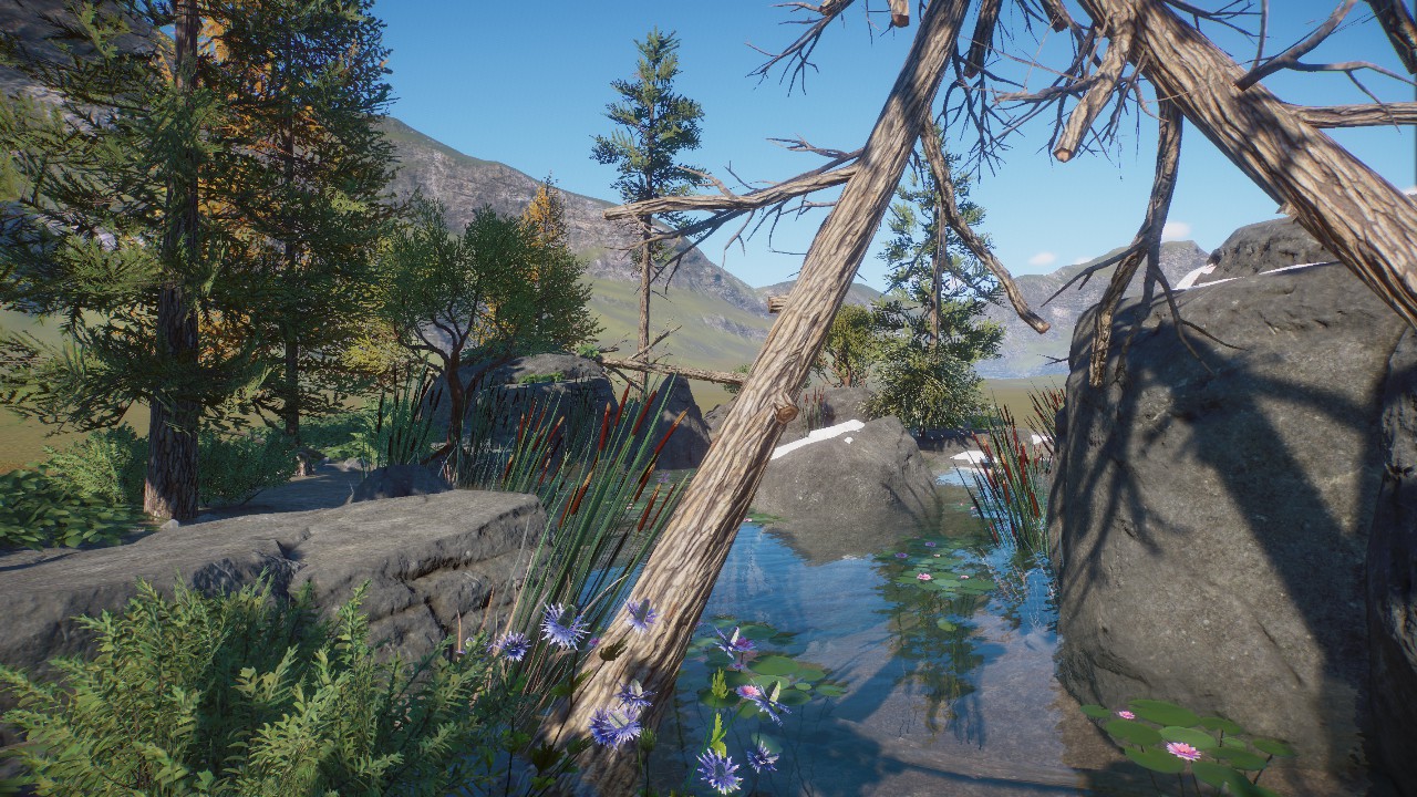 Tundra Rock Scenery 3