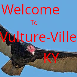 Vulture Ville – Project Zomboid Mod