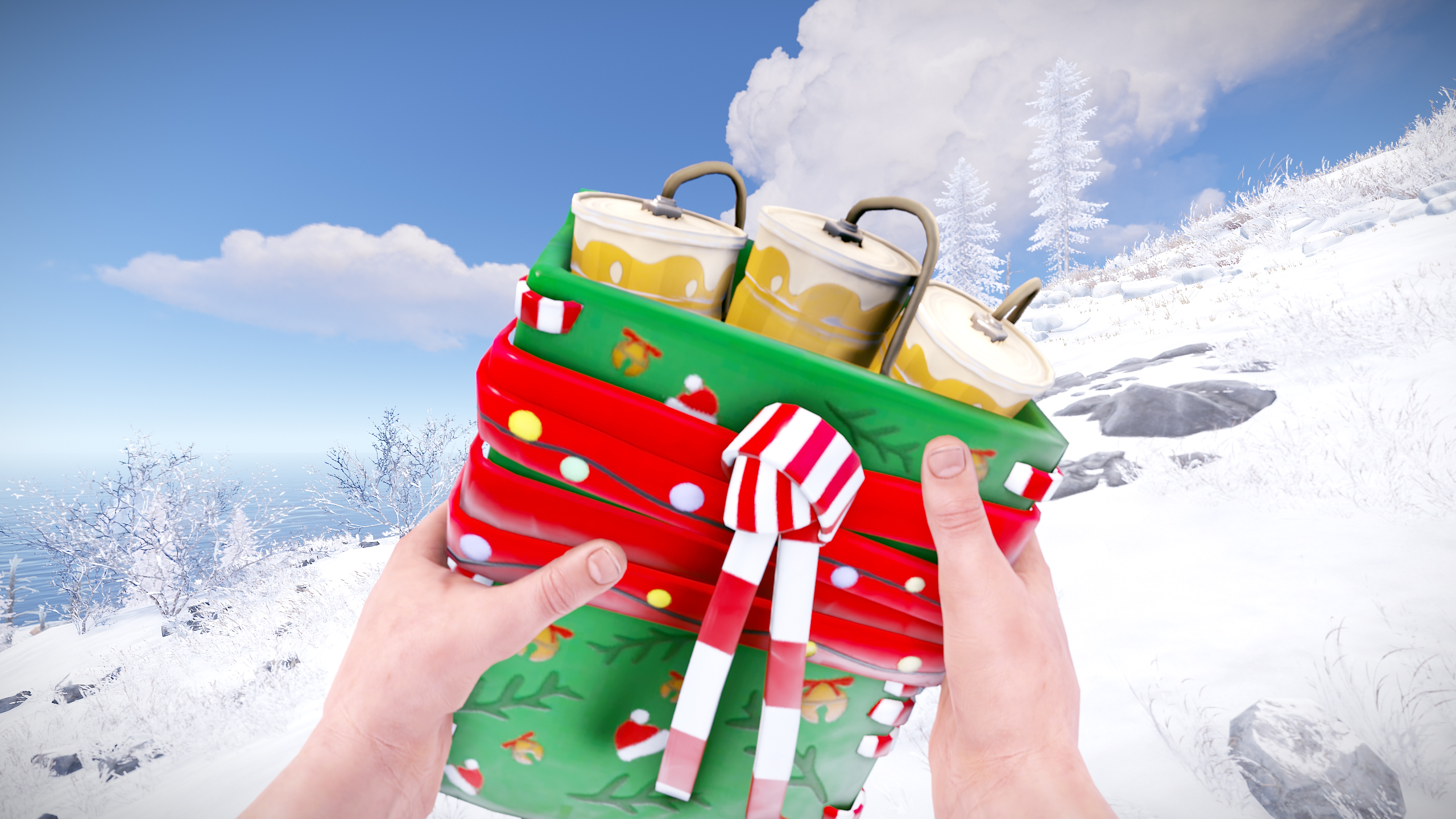 Christmas Surprise