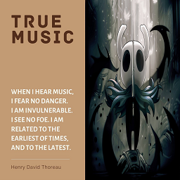 Hollow Knight [True Music]